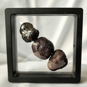 Dragon Egg Early Diagenetic Cretaceous Pyrite Nodule Concretion Mooreville Chalk